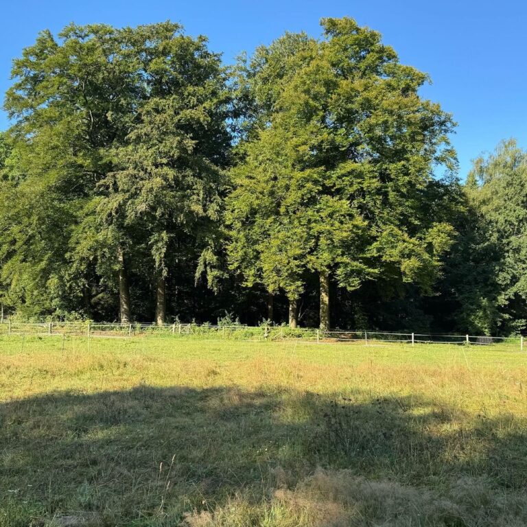 natuur-2