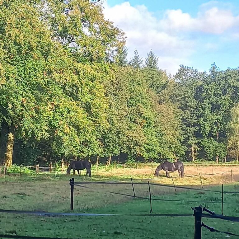 natuur-3