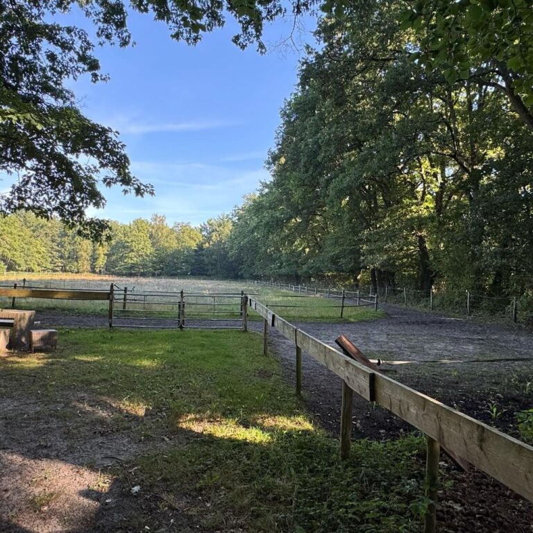 natuur-4