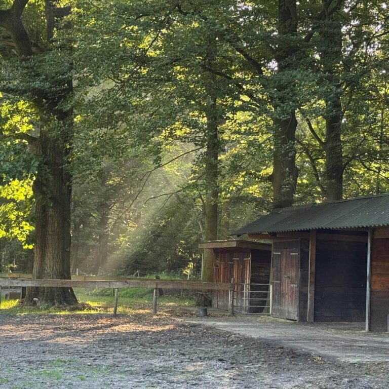 natuur-5