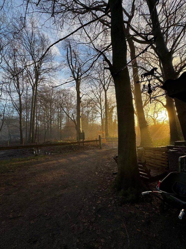 natuur-6