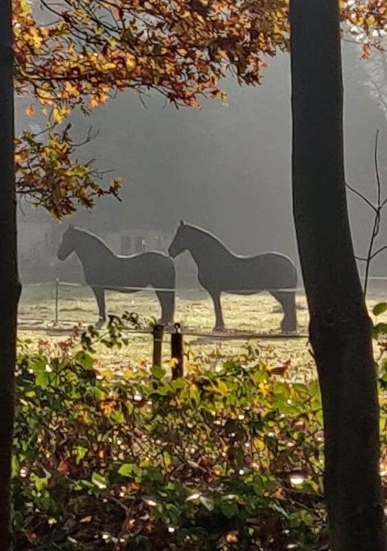 natuur 8
